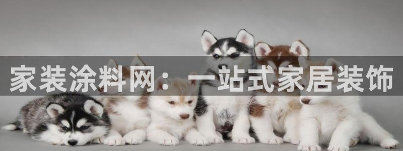 和记官方网址：家装涂料网：一站式家居装饰