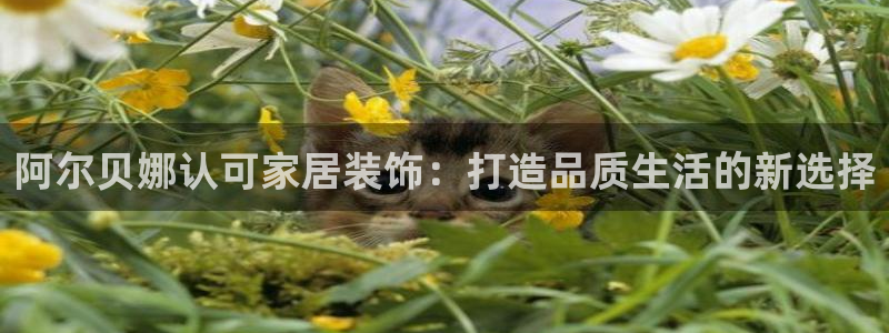 和记 首页：阿尔贝娜认可家居装饰：打造品质生活的新选择