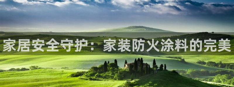 和记 首页：家居安全守护：家装防火涂料的完美