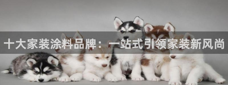 和记paging：十大家装涂料品牌：一站式引领家装新风尚