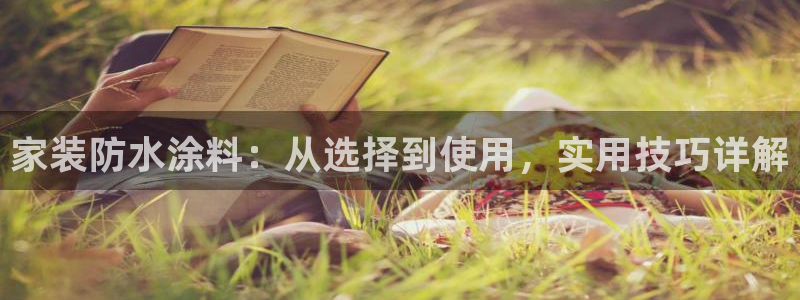 官方和记国际平台登录：家装防水涂料：从选择到使用，实用技巧详