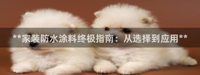 和记网页：**家装防水涂料终极指南：从选择到应用**