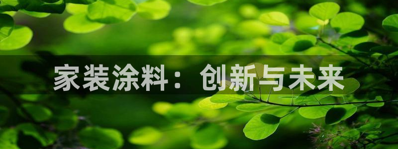 江苏和记餐饮有限公司：家装涂料：创新与未来