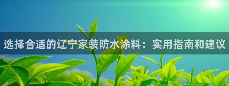 和记官网登录：选择合适的辽宁家装防水涂料：实用指南和建议