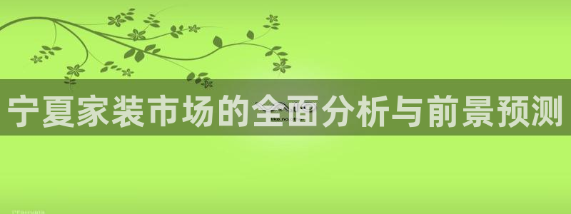 和记国际电讯市值：宁夏家装市场的全面分析与前景预测
