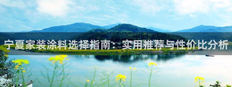 和记港口：宁夏家装涂料选择指南：实用推荐与性价比分析