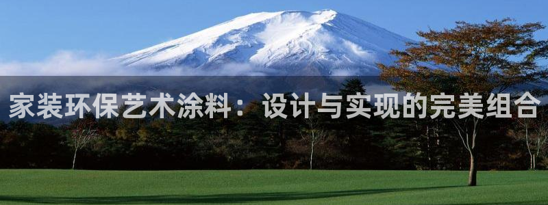 和记H88：家装环保艺术涂料：设计与实现的完美组合